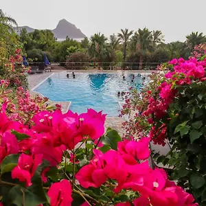 Cala Dell'arena Bed & Breakfast